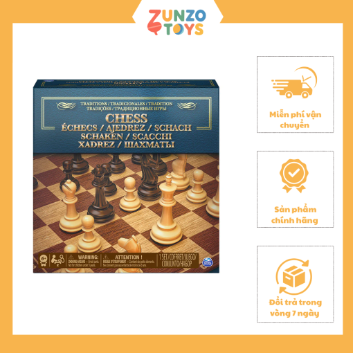 Trò chơi cờ vua SPIN GAMES 6038140